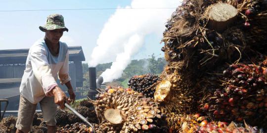 GAPKI: Buruh Indonesia pilih kerja di pabrik daripada perkebunan