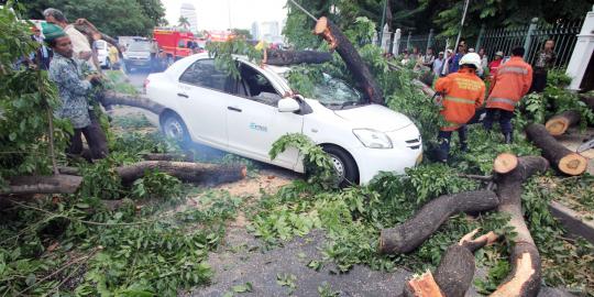 Pohon tumbang di Gambir timpa sedan Taksi Ekspress