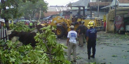 Pohon tumbang putuskan akses Tangerang-Jakarta