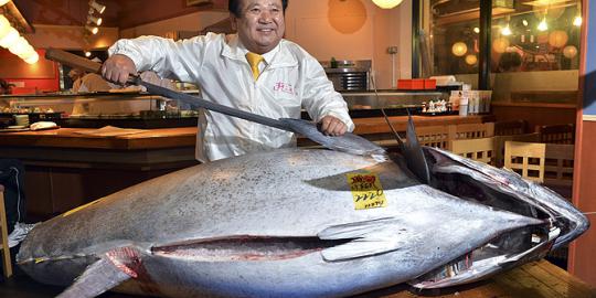 Tuna raksasa ini dijual Rp 17,3 miliar   