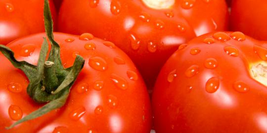 Pil tomat ampuh turunkan risiko serangan jantung