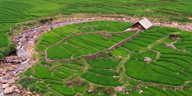 Kajian Potensi Sumberdaya Lahan Sawah Permasalahan Dan