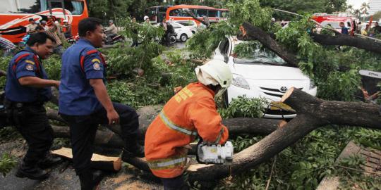 Angin kencang landa Jakarta, awas baliho dan pohon tumbang