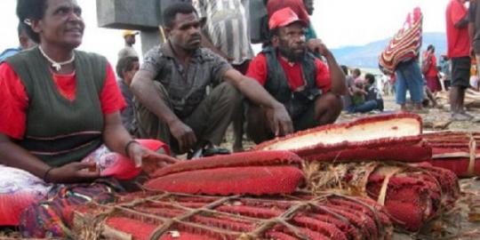 Buah merah asli Indonesia ampuh bunuh virus HIV?