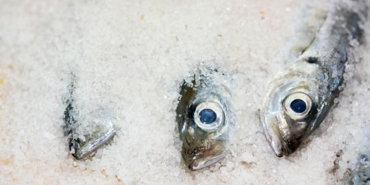 Doyan ikan asin berisiko kanker tenggorokan