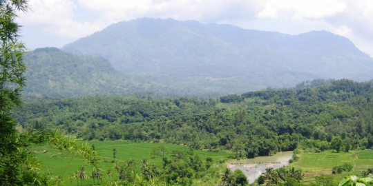 6 kota yang pernah dimunculkan jadi pengganti ibu kota