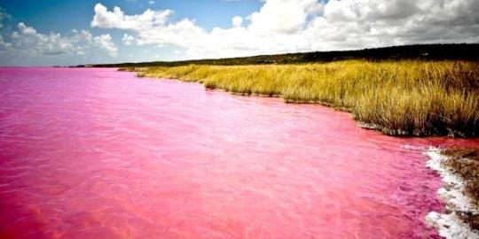Lucunya! Air sungai ini berwarna pink