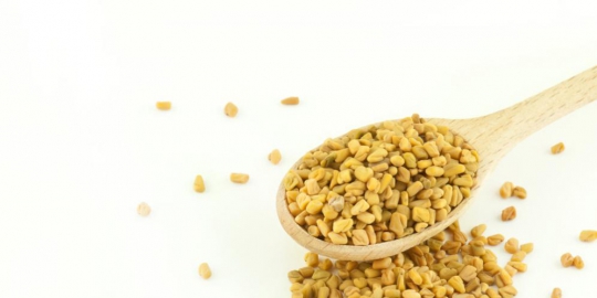 5 jenis herbal pembesar payudara