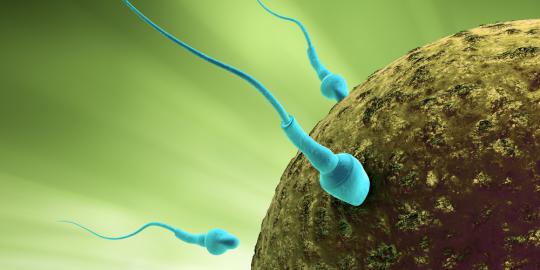 Kualitas sperma turun 38 persen, apa penyebabnya?