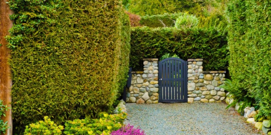 5 tempat romantis untuk kencan pertama