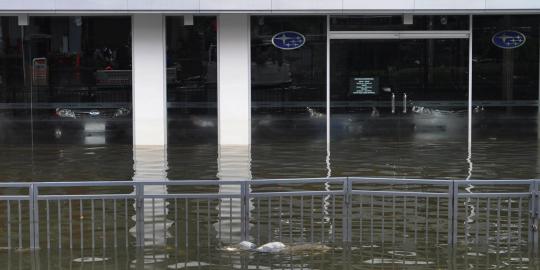 Showroom mobil terendam banjir di Kawasan Pluit Penjaringan