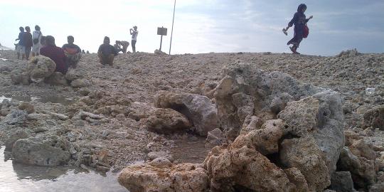 Heboh, Warga Madura temukan pulau karang di tengah laut