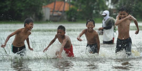 Berenang di sawah terendam banjir
