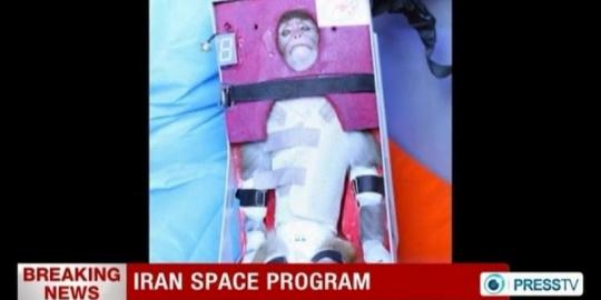 Iran sukses jadikan monyet sebagai astronot