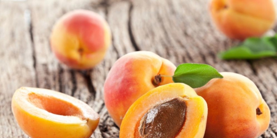 5 jenis buah kering baik untuk kesehatan