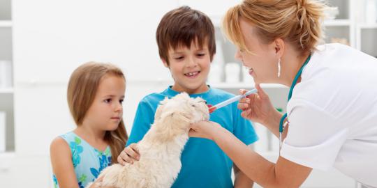 5 Pertanyaan wajib untuk dokter hewan