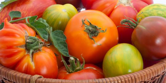 Makan tomat ampuh turunkan risiko penyakit jantung