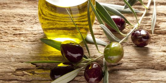 Khasiat minyak zaitun dalam melindungi usus