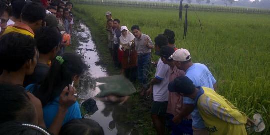 Wanita dalam kondisi hamil 5 bulan ditemukan tewas di sawah