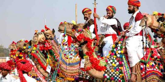 Keunikan festival unta di 'kota gurun'