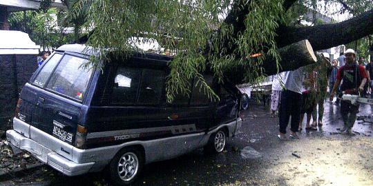 Kota Solo diserang badai, ratusan pohon tumbang