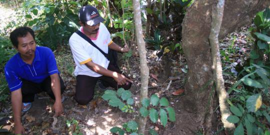 Tan Malaka dikubur dua kali, dekat makam Mbah Selopanggung