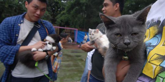 Pet Adoption Day di Taman Langsat