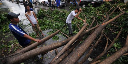  Pemkot Medan tanggung pengobatan Polantas yang tertimpa pohon