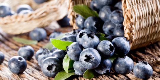 5 Nutrisi penting yang terkandung dalam blueberry