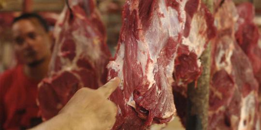 Pemerintah akan penuhi daging sapi impor melalui sistem lelang
