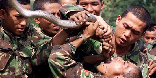 Mabes: TNI jangan terpancing balas dendam di Papua