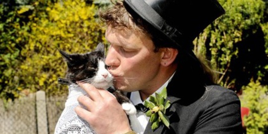 menikahi kucing peliharaannya rev2