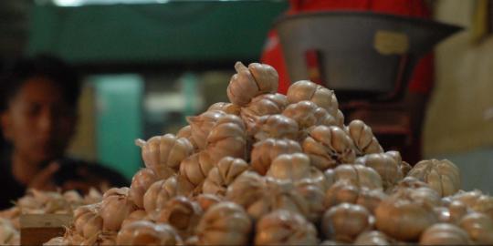 HKTI: Tidak masuk akal bawang putih langka di negara agraris