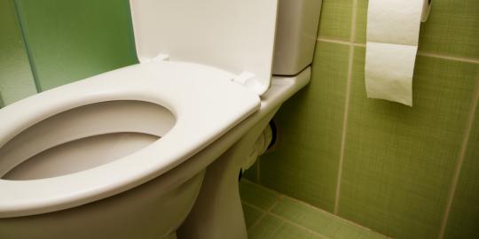 Orang Jepang suka makan di toilet, benarkah?