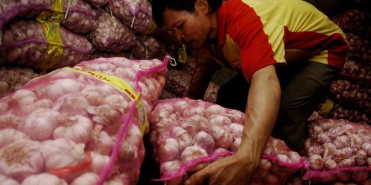 293 Kontainer bawang putih di Tanjung Perak dilepas hari ini