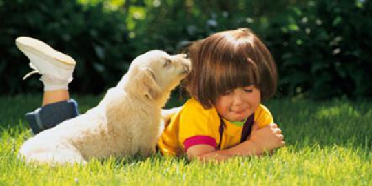 5 hal yang bisa dirasakan anjing tentang manusia