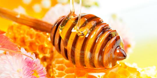 9 Fakta menarik tentang madu