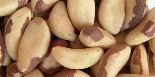 9 makanan yang memperlambat denyut nadi