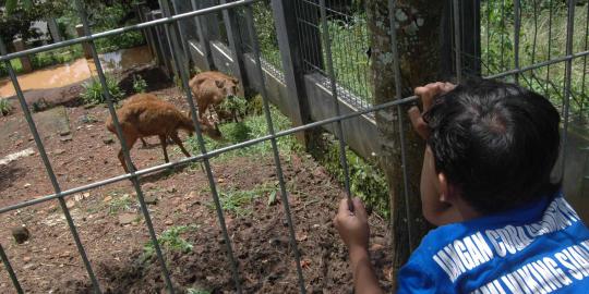 Lahan Irjen Djoko mau dijadikan kebun binatang dan pacuan kuda