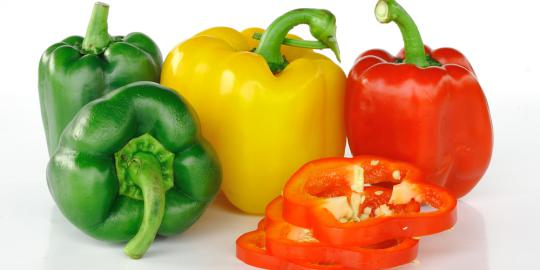 9 Khasiat kesehatan menakjubkan dari paprika