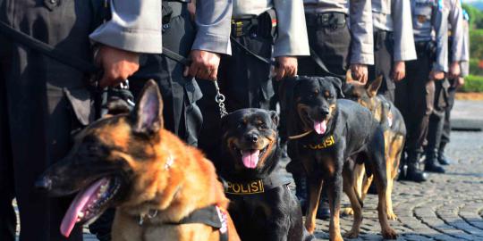 Jenderal polisi sebut anjing pun ikut jaga keamanan negara