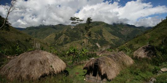 Diserang wabah frambosia, ratusan warga Papua berobat ke kota