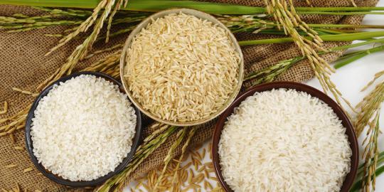 Target produksi beras Bulog Kediri turun 6 ton tahun ini
