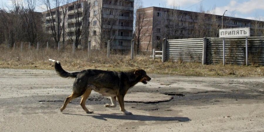 membayar tunjangan untuk 7 juta orang yang terkena dampak bencana chernobyl