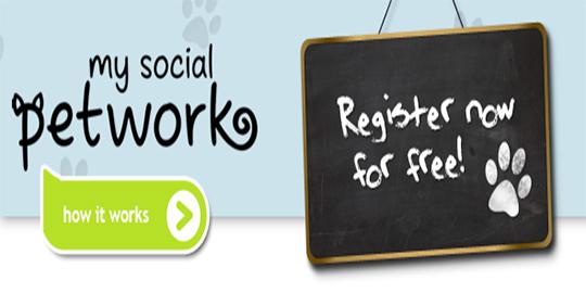 My Social Petwork, 'Facebook' khusus binatang