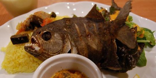 Wajah menyeramkan ikan piranha goreng