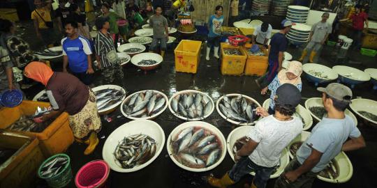 Bangun New Priok, ratusan pedagang ikan di Kali Baru digusur