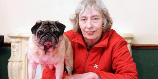 Anjing ini selamatkan majikannya dari kanker payudara
