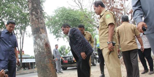 24 Pohon mahoni mati diracun, Wali Kota Medan berang