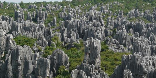 Eksotika Hutan Batu Shilin di China